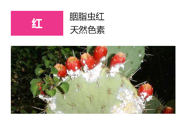红色素